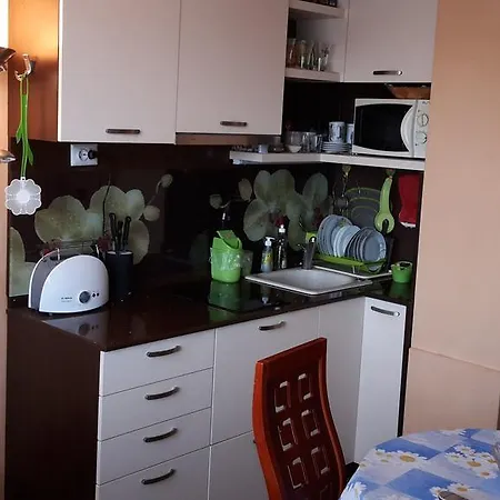 Guest house Dom Lidiya *
